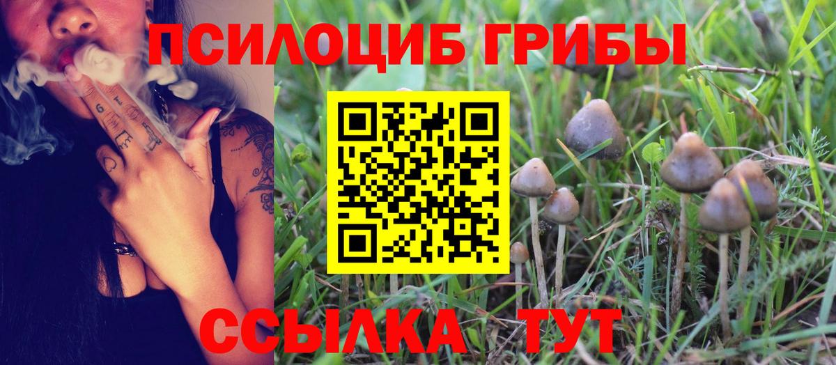 Галлюциногенные грибы MAGIC MUSHROOMS  Вход с VPN  наркотики  Чебоксары 